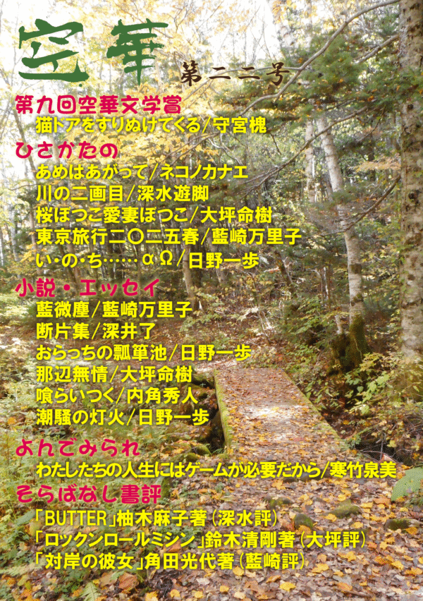 空華第二二号