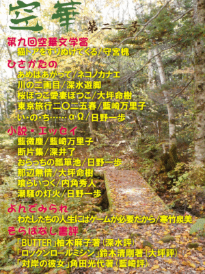空華第二二号